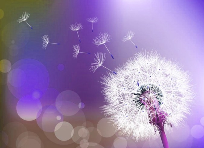 dandilion-810x588.jpg