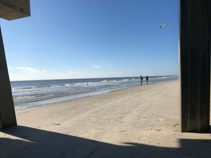 459007E7-D14D-4F6D-96C0-3BEFA54E3BBC